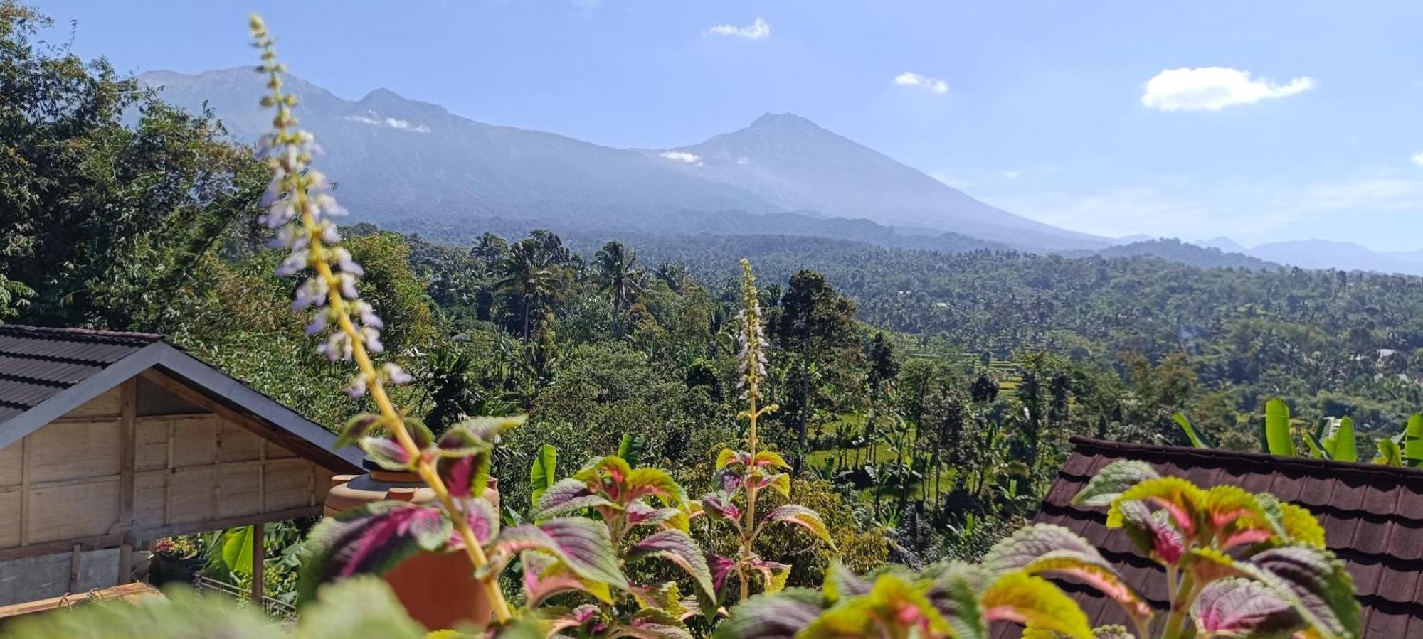 Tetebatu Terrace Homestay Bagian luar foto