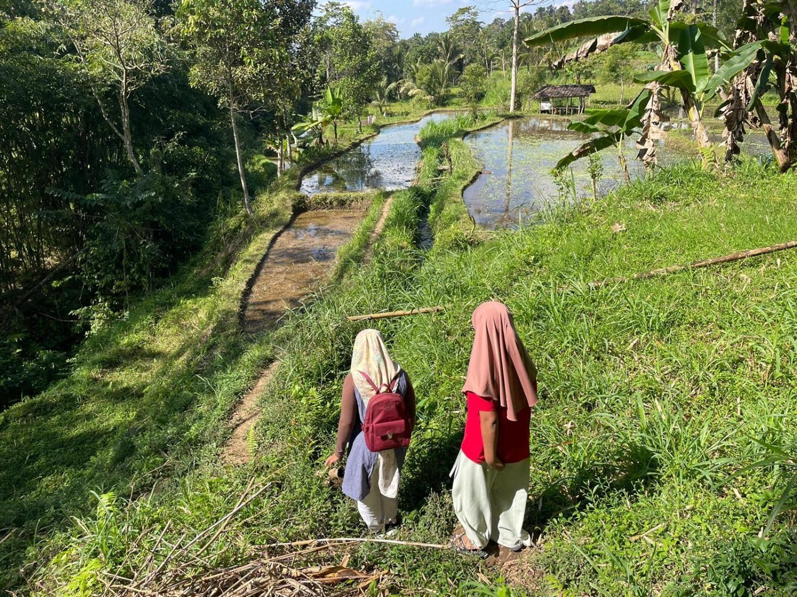 Tetebatu Terrace Homestay Bagian luar foto
