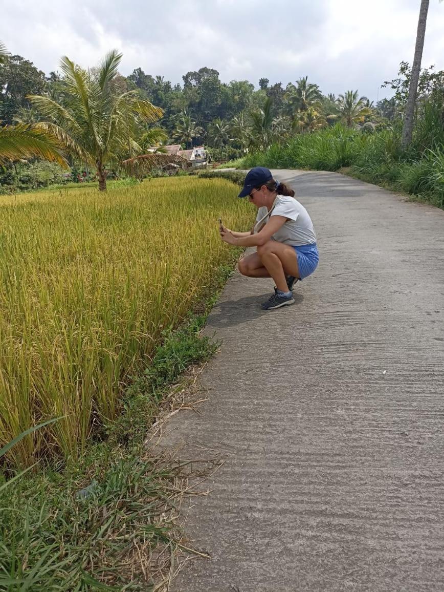 Tetebatu Terrace Homestay Bagian luar foto