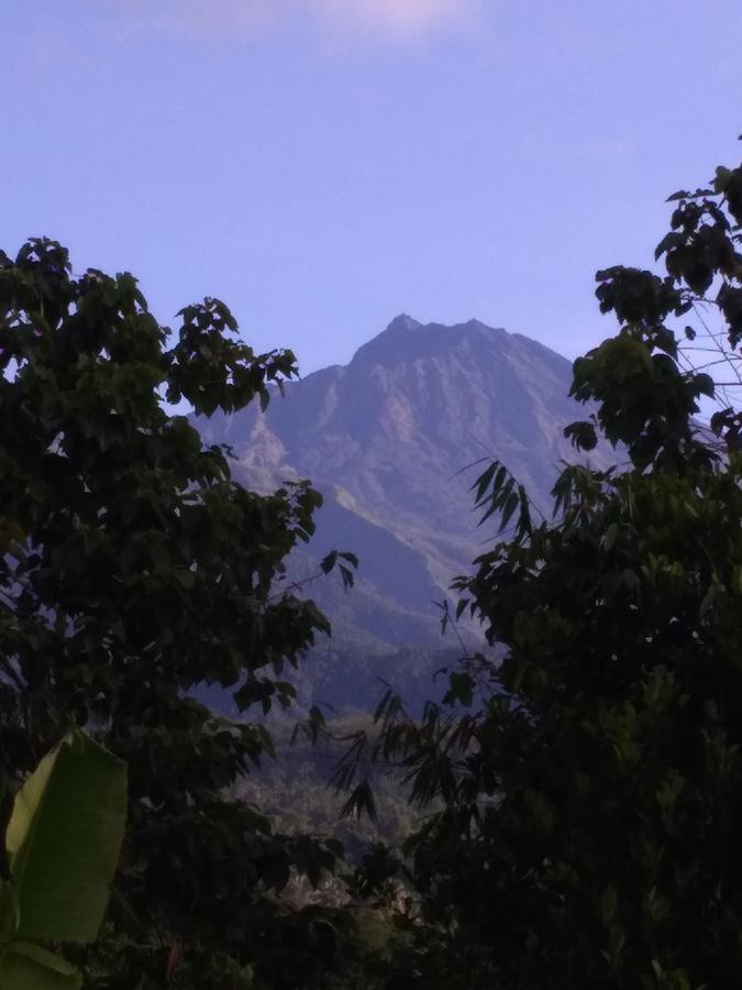 Tetebatu Terrace Homestay Bagian luar foto