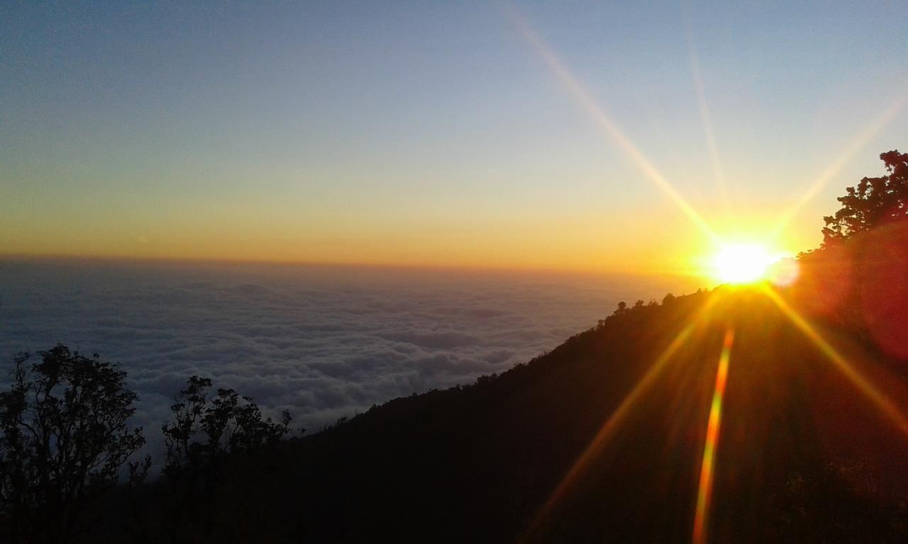 Tetebatu Terrace Homestay Bagian luar foto